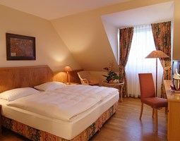 Hotels***/****
